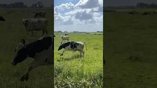 Stap ik af op buitenrit?!