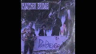 4.Dumbies 