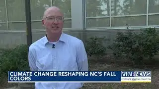 How the changing of the leaves is different this year in North Carolina