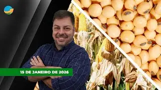 Demanda chinesa surpreende a reacende perspectiva de menor pressão sobre as cotações; Milho...