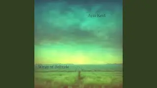 Wings of Solitude