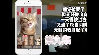 第九集  转学生你别这样 #meme #meme表情包 #当代学生现状 #学生的迷惑行为 #恋爱