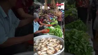 &ldquo;The Most Unique Exotic Market in Asia 🐛🦗 | Click Subscribe!&rdquo;@mfajar88