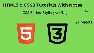 CSS Basic: Styling Anchor Tag