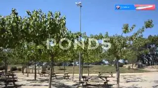 Picnic Tables Empty Park | HD Stock Video Footage | Production Music