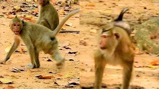 attack horrible | Janet cry got chase horrible  by mom Cara | Janet scare Jaluna not grabbing food