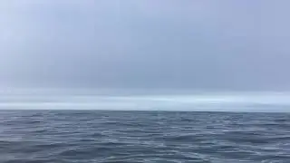 3 minute Nature Meditation: Adrift at sea