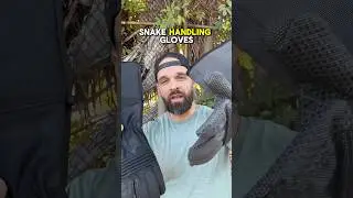 Snake proof gloves? The difference between 2 Hexarmor models. #herping #snakes