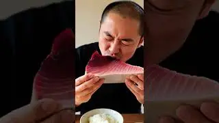 Fresh Raw Soft Tuna eating video