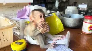 Mary likes to eat coconut meat