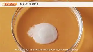 ZipDose Rapid Disintegration