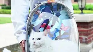 Cat Backpack Carrier