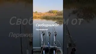 28 октября 2023 г.