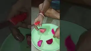first time dragon food test korlam🤤🤤 #shots #video #food