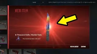 PRAWIE DARMOWA KOSA DLA KAŻDEGO! *NOWY UPDATE CS2*
