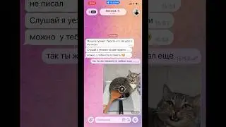 Пранканула друга 😂 #переписка #новыйпарень #прикольныекоты #cat #котик #asmr #юмор #кот