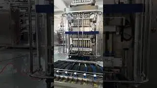 Samfull multilane stick packaging and counting machine