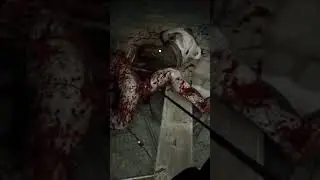 Dying Light Game Fighting Volatiles With The Gut Render #dyinglightgame #fighting #volatiles