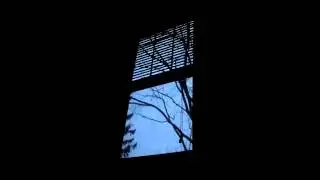 woods wayward - tokyo bluesy
