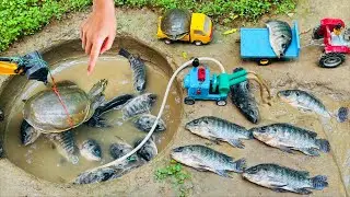 Catch fish using mini diesel engine water pump for fish in pond| fishing exciting | diy tractor
