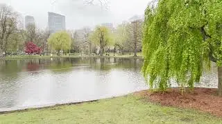 Boston Commons Park, April 26, 2022