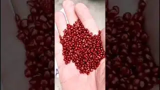 Black orange red white masterbatch production