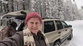 Finding and Decorating the Perfect Tree in Sunriver Oregon!