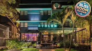 Avalon Hotel Downtown St. Petersburg | St. Petersburg (FL), United States | Hotel Review 🏩