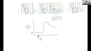Calculating a peri stimulus time histogram (PSTH)