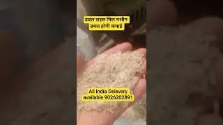 Best tractor operated rice mill machine#6n70 #ricemill #machine #farming #kisan #agriculture #shorts