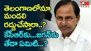Will Telangana Government Also Dissolve Legislative Council? | NewsOne Telugu