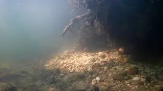 Raul Neajlov Filmare sub apa