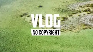 Dynemo - Waves (Vlog No Copyright Music)