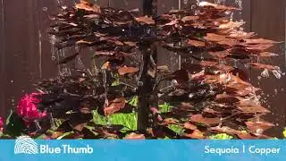 Sequoia Copper Fountain