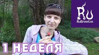 Дневник подготовки к РуБрониКону 2018 - 1 неделя