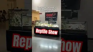 Setup at the Tucson Reptile Show #everevolvingexotics #reptileshop #tucson #arizona #reptileshow