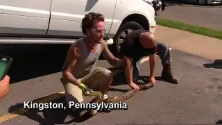Big snake rescued from SUV