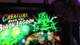 Fun at the Arcade (Geeks Mania) Madison Wi