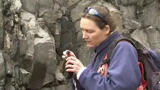 Geologist