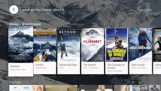 Contextual Search on Android TV