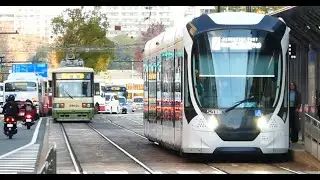 【朝ラッシュの風景】本通電停から　広電路面電車・路線バス発着