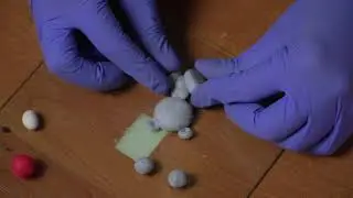 SMARTлето. Творческий мастер-класс по глине. Медвежонок