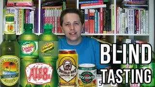 Ginger Ale Blind Tasting (Soda Tasting #147)