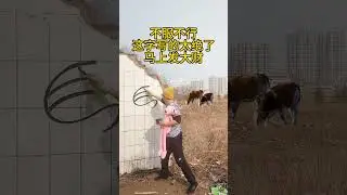 這字寫的太絕了 #書法作品欣賞