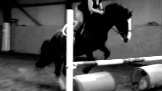 Jessie Recently (Piaffe Training & 1m Jumping)