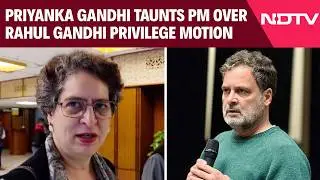 Congress Vs BJP | 'Macho Man': Priyanka Gandhi Taunts PM Modi Over Rahul Gandhi Privilege Motion