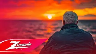 Zmanele ✘ COCO  - Pentru bani omul se vinde (Remix)