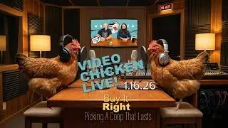 Video Chicken Live: Buy It Right: Picking a Coop Size That Lasts  - 1/16/26