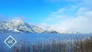 8 Hour Winter Lake Nature Retreat ❄️ Windy Lakeside Ambient for Sleep