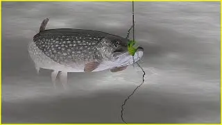 2 pike spot Old burg | Russian Fishing 4 #mjplay #414